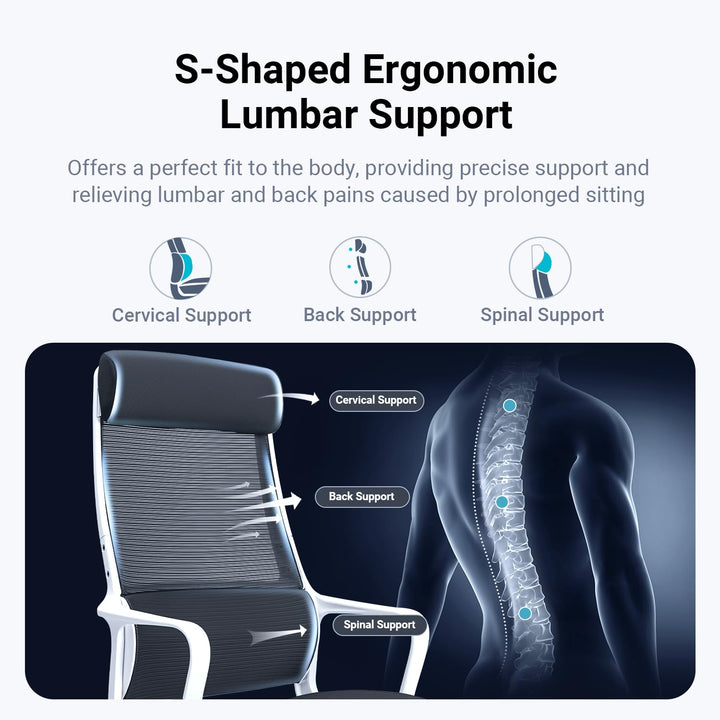 MELOKEA F007 Ergonomic Office Chair